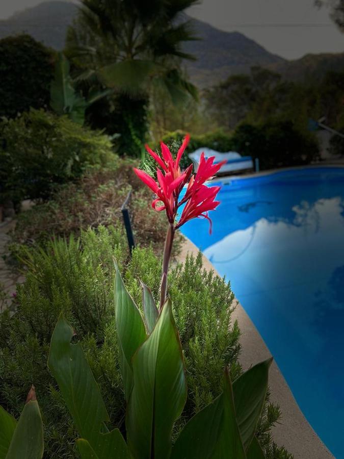 Hotel 212 Olympos Exterior foto